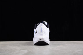 Air Zoom Pegasus 40
