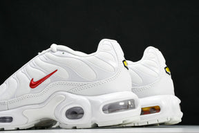Air Max Plus