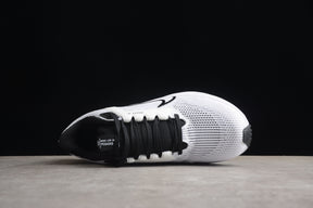 Zoom Pegasus 40