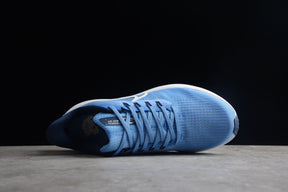 Air Zoom Pegasus 39
