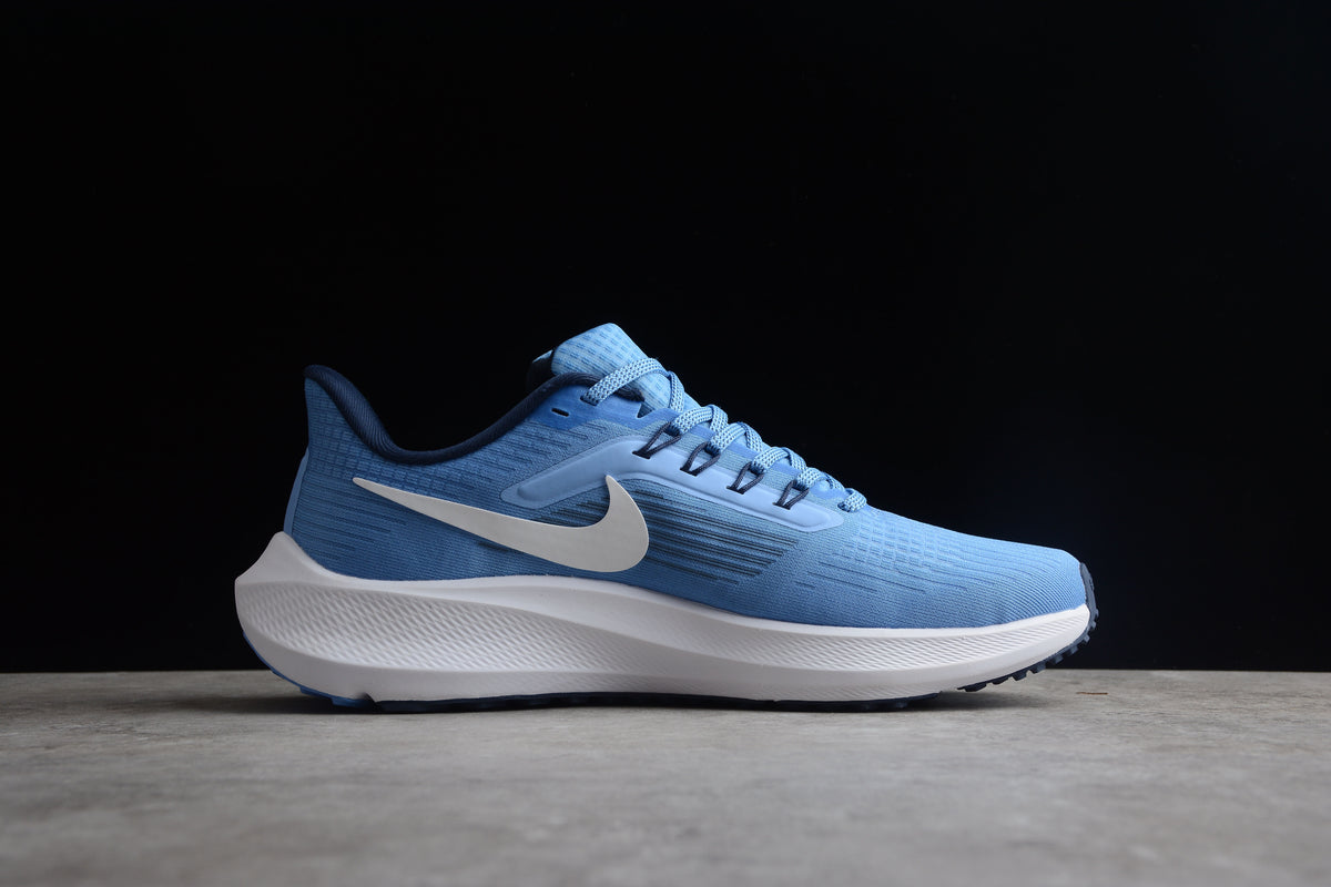 Air Zoom Pegasus 39