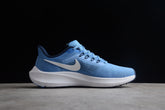 Air Zoom Pegasus 39