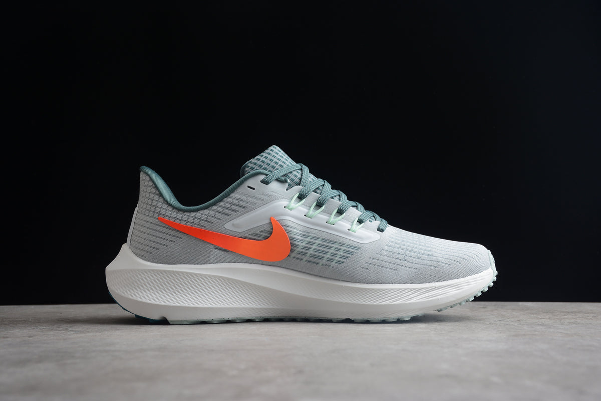 Zoom Pegasus 39