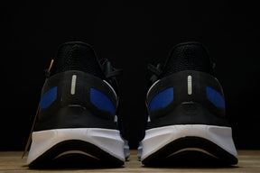 Air Zoom Structure