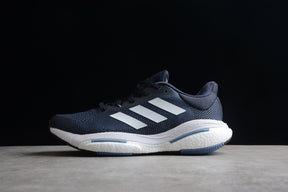 Solar Glide 5