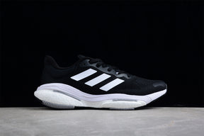 Solar Glide 5