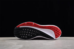 Zoom Winflo 10