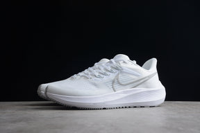 Air Zoom Pegasus 39