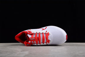 Air Zoom Pegasus 40