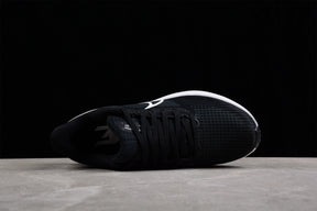Air Zoom Pegasus 39