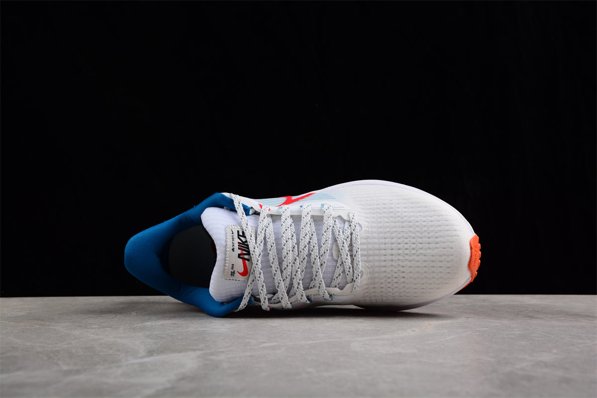 Zoom Pegasus 39