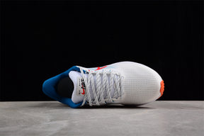 Zoom Pegasus 39
