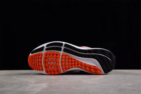 Zoom Pegasus 39