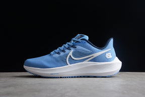 Air Zoom Pegasus 39