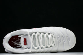 Air Max Plus