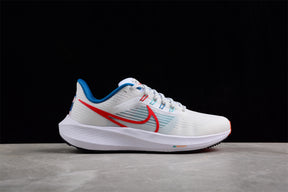 Zoom Pegasus 39