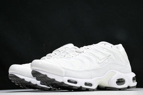 Air Max Plus