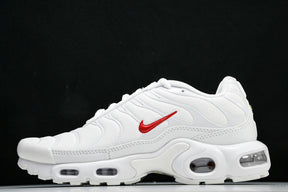 Air Max Plus