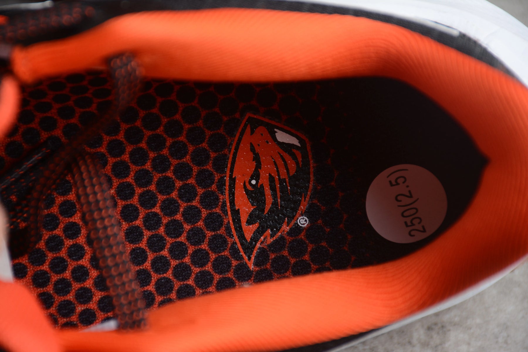 Air Zoom Pegasus 39