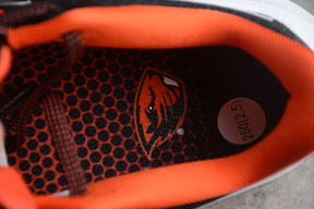 Air Zoom Pegasus 39