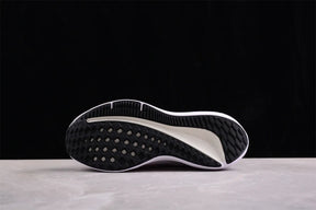 Zoom Winflo 10