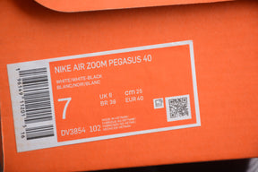 Zoom Pegasus 40
