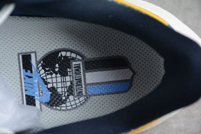 Air Zoom Pegasus 39