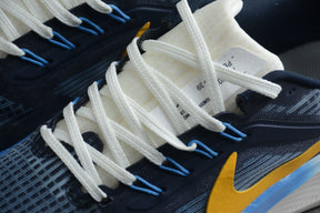 Air Zoom Pegasus 39