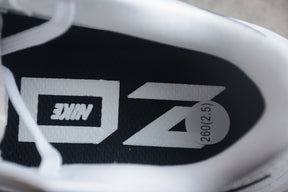 Zoom Pegasus 39