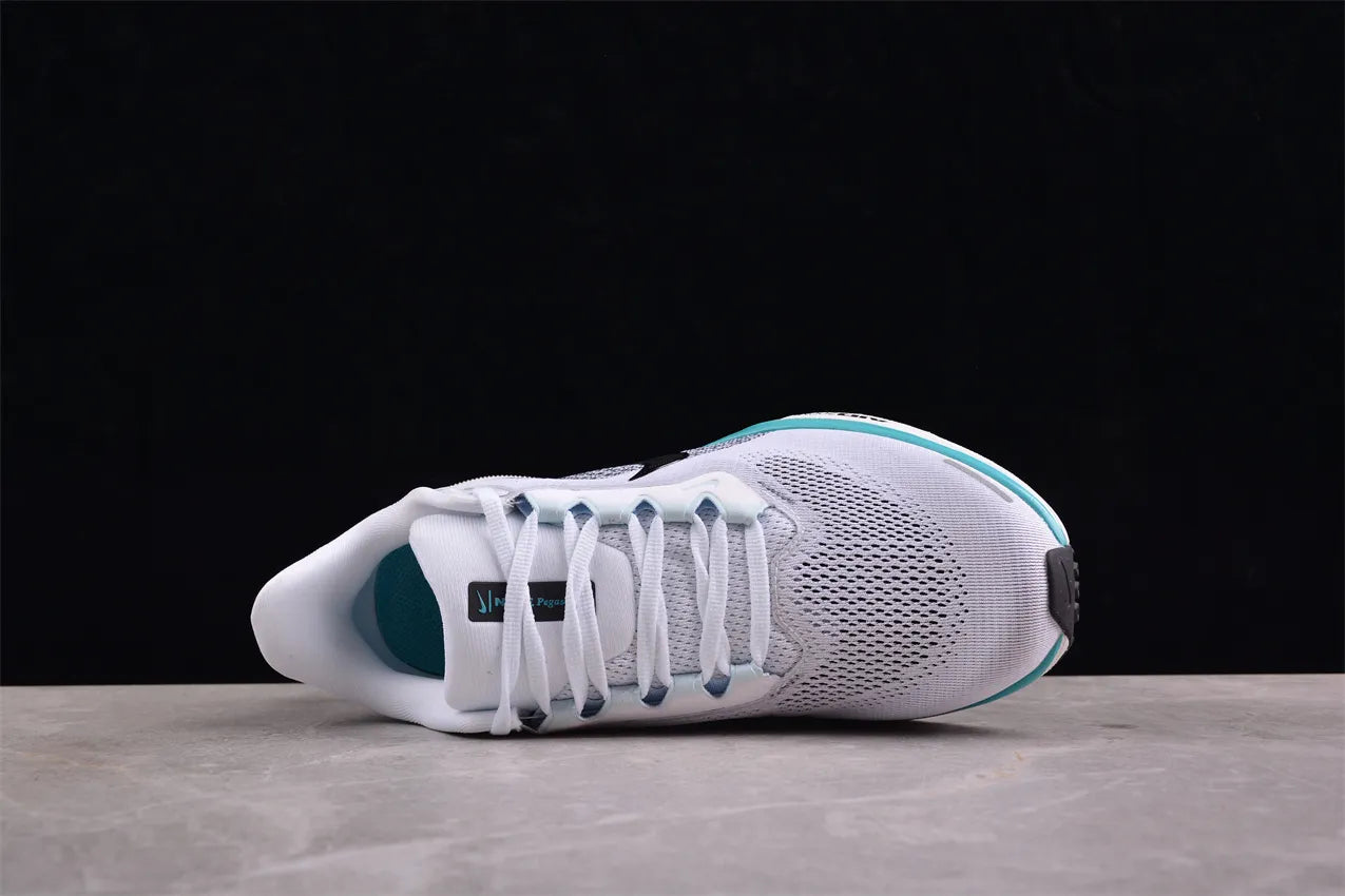 Air Zoom Pegasus 41