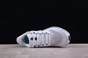 Air Zoom Pegasus 41