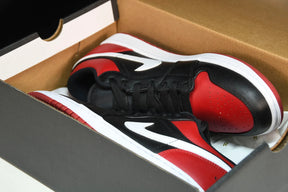 Air Jordan Low