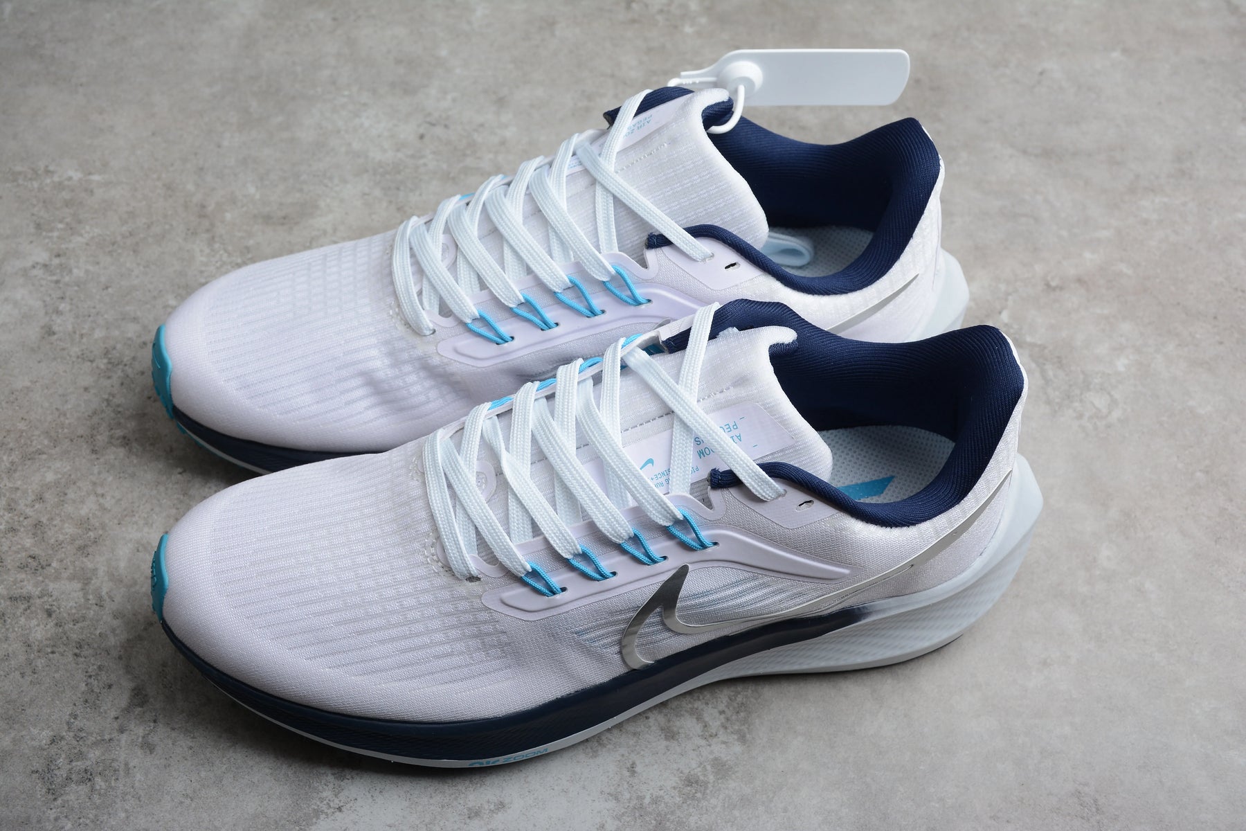 Air Zoom Pegasus 39