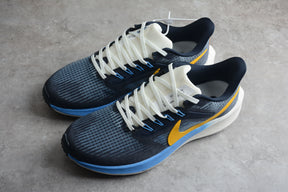 Air Zoom Pegasus 39