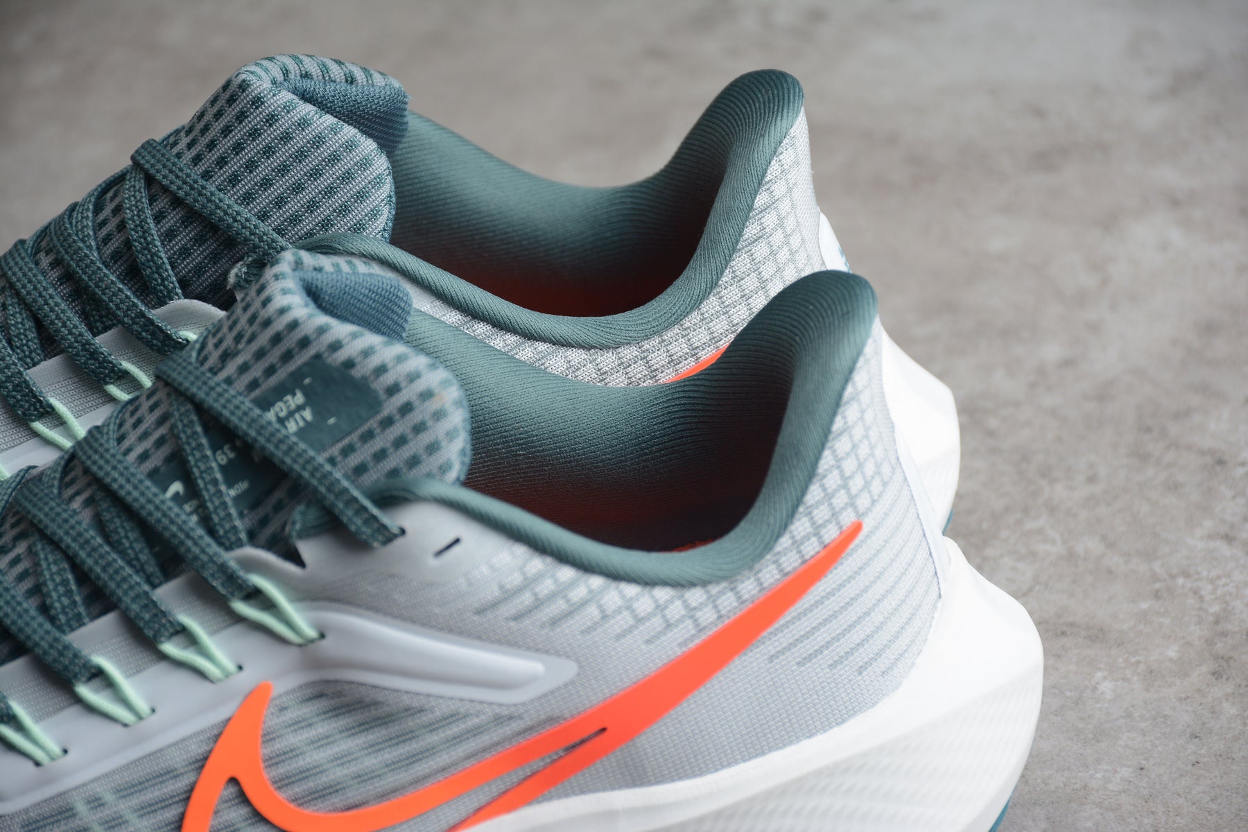 Zoom Pegasus 39