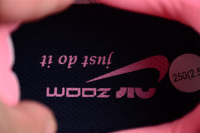 Air Zoom Pegasus 40