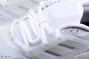 Pureboost 22