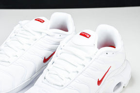 Air Max Plus