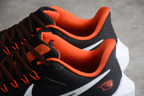 Air Zoom Pegasus 39