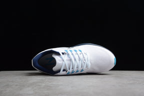 Air Zoom Pegasus 39