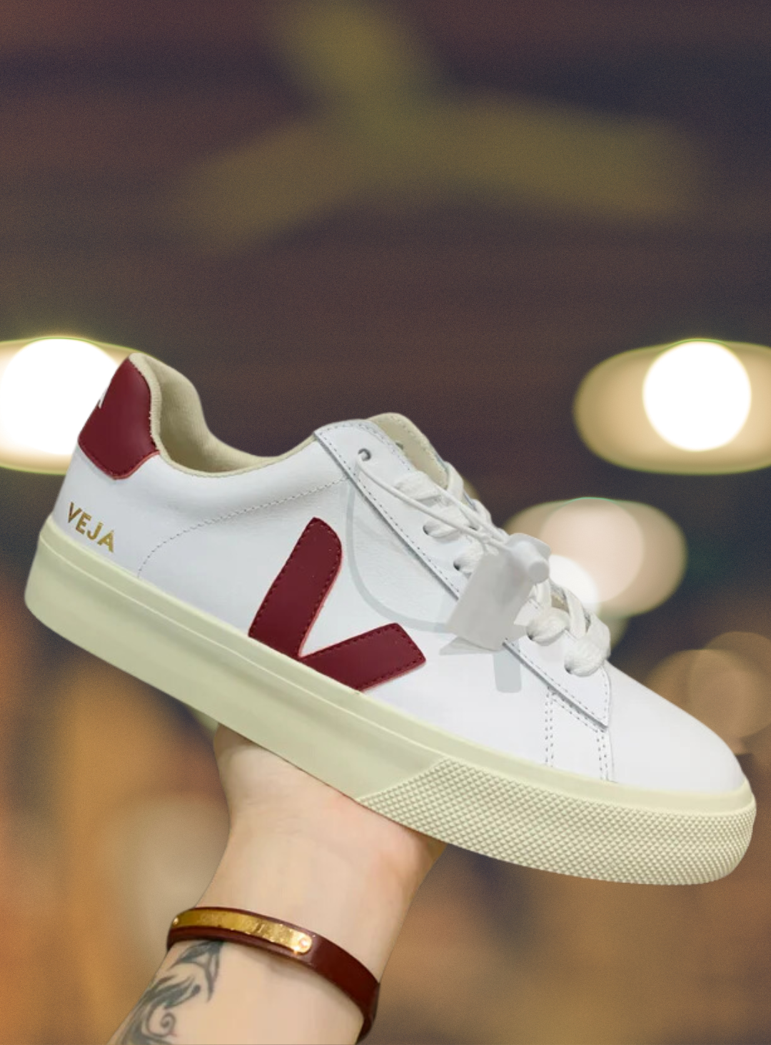 Modelo CAMPO Red