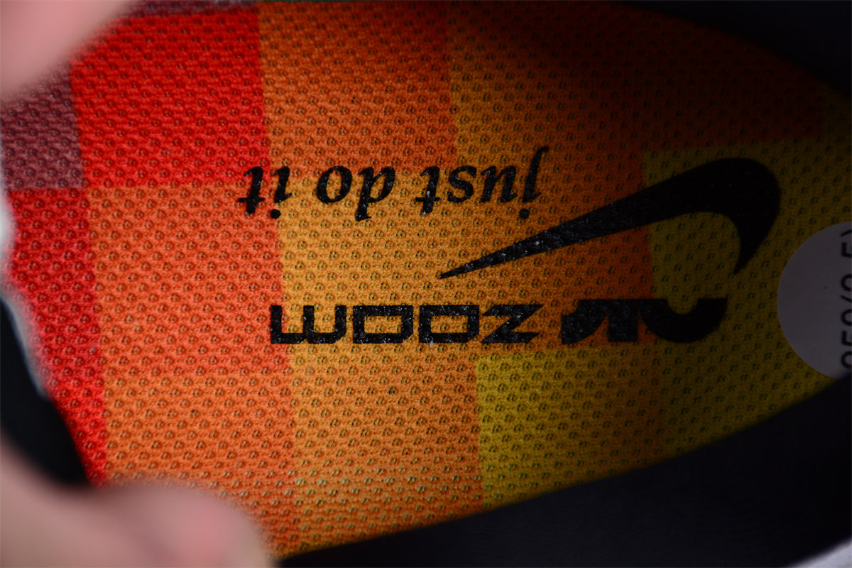 Air Zoom Pegasus 40