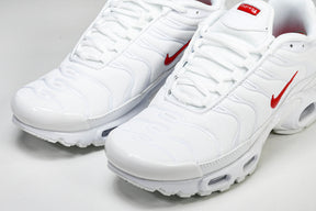 Air Max Plus
