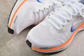 Air Zoom Pegasus 41