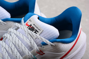 Zoom Pegasus 39