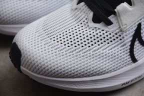 Zoom Pegasus 40