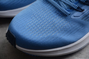 Air Zoom Pegasus 39