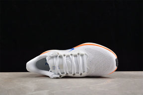Air Zoom Pegasus 41