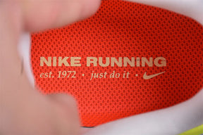 Air Zoom Pegasus 41