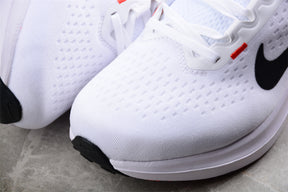 Zoom Winflo 10